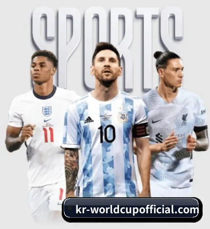 开云体育 APP - kaiyun sports